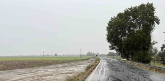 Sissa Trecasali: nel vivo i lavori sulla “Strada del Milanino” opera da 4,8 milioni di euro