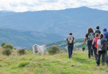 Corso di escursionismo Cai di Cesena