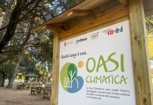 Ancora caldo in arrivo: prosegue l’impegno del Comune con il Piano Caldo e il programma di attività nelle Oasi Climatiche Inclusive