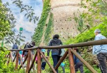 Regione: Cultura