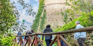 Regione: Cultura