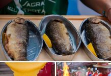 Il 23 agosto, la 72ª Sagra della Trota a Bedonia (PR)