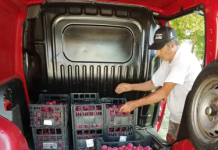 Fondo di comunità metropolitano: frutta e verdura fresca per il progetto Un piatto per tutti e tutte (FOTO)