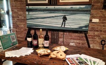 Mercoledì 9 settembre brindisi romagnolo al Museo del Sale di Cervia