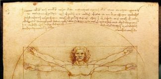 Cesena ospita la Summer School internazionale ‘Figurare e descrivere – Leonardo e la storia dell’anatomia’