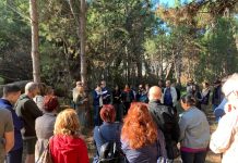 Regione: Cultura