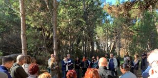 Regione: Cultura