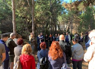Regione: Cultura