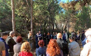 Regione: Cultura