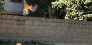 Laboratori di italiano, la consegna degli attestati ai bambini e ragazzi arrivati da poco nel nostro Paese