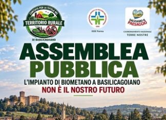 Assemblea Pubblica Basilicagoiano