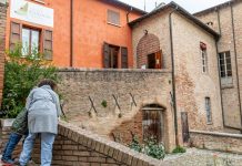Un autunno di attività al Museo dell’Ecologia (FOTO)