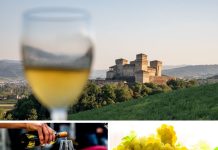 Il gusto lento del vino. Settembre in Emilia, tra vigne, castelli e grande Fiume