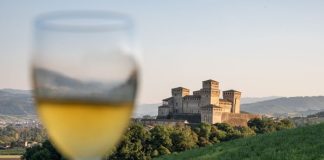 Il gusto lento del vino. Settembre in Emilia, tra vigne, castelli e grande Fiume