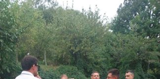 SP 79 “Pian di Balestra”, progetti in fase di verifica per il ripristino delle frane (FOTO)