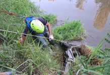 I volontari di Protezione civile rimuovono un ciclomotore dalla sponda del fiume Marecchia