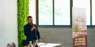 Agricoltura. Recupero dei castagneti, investimenti e valorizzazione della filiera