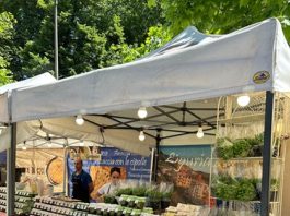 Mercato Europeo a Ferrara con oltre cento espositori da tutto il mondo