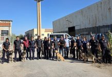 Polizia Locale, a Ferrara una giornata di addestramento intensivo per le unità cinofile
