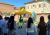 Regione: Protezione civile