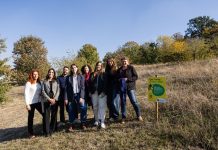 Bologna Verde, aree a sfalcio ridotto a favore della biodiversità