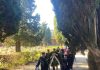 Commemorazione dei defunti a Cesena, gli orari dei cimiteri e le cerimonie del 1° e del 2 novembre (FOTO)