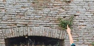 Comune di Forlì: Giornata Nazionale delle Famiglie al Museo – FAMU 2026