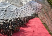 Campionati di ciclomeccanica e asta di beneficenza