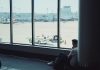Volo Lamezia Bologna in ritardo di quasi 5 ore, italiani bloccati in aeroporto
